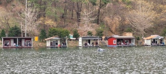 양평수곡낚시터 유료낚시터 > 벗꽃과 눈과 바람속 힐링 수곡낚시터 꾸준히 봄붕어들 나와주고 있네요 주말 조황 및 붕어방류 : 낚시사랑