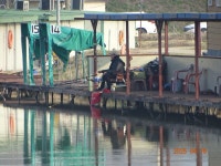 오빈낚시터 유료낚시터 > ~~~ 조황정보 및 방류소식 전합니다~~~ : 낚시사랑