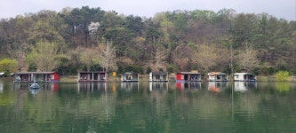 양평수곡낚시터 유료낚시터 > 4월중순 만개한 벗꽃과 힐링 양평 수곡낚시터 조황 주중 편차가 있었네요 : 낚시사랑