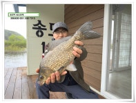 송도좌대 유료낚시터 > 송전지의 봄. : 낚시사랑