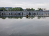 고잔낚시터 유료낚시터 > 주말 양어장 저수지 사진 / 화요일 방류 : 낚시사랑