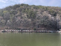 만정낚시터 유료낚시터 > 4월25일(이슬비내리는 만정지 낚시이야기 : 낚시사랑