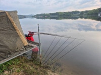 성호낚시터 유료낚시터 > 조황정보 5월1일 성호낚시터. : 낚시사랑