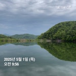 양평그린낚시터 유료낚시터 > 양평 그린낚시터 5/1 (목) 조황 정보 및 방류소식 : 낚시사랑