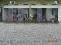 오빈낚시터 유료낚시터 > ~~~ 조황정보 및 방류소식 전합니다~~~ : 낚시사랑