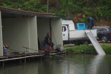 고담낚시터 유료낚시터 > 붕어방류 와 조황입니다 : 낚시사랑