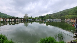 즐거운복상골 유료낚시터 > 푸르름 가득한 5월입니다~~~ : 낚시사랑