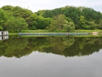 회암지 유료낚시터 > 안성회암낚시터 조황정보^^ : 낚시사랑