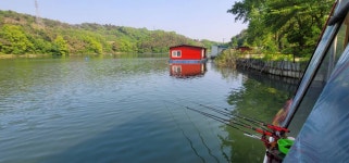 양평수곡낚시터 유료낚시터 > 푸른 5월 힐링 양평 수곡낚시터 셋째주중 조황 및 내일모레 주말 연속 붕어방류 : 낚시사랑