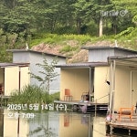 양평그린낚시터 유료낚시터 > 양평 그린낚시터 5/15 (목) 조황 정보 및 방류 소식 : 낚시사랑