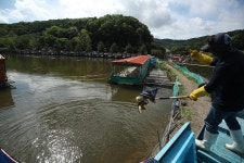 한터낚시터. 유료낚시터 > 한터 낚시터 2025년 05월17일 (토요일) 메기 향어 잉어 대량 방류했습니다 : 낚시사랑