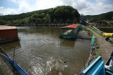 한터낚시터. 유료낚시터 > 한터 낚시터 2025년 05월17일 (토요일) 메기 향어 잉어 대량 방류했습니다 : 낚시사랑