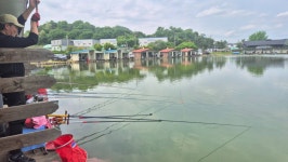 안성 거청낚시터 유료낚시터 > 5월 18일 배수없는 거청낚시터 조황 : 낚시사랑