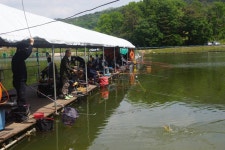 고담낚시터 유료낚시터 > 주말붕어방류 와 대박조황입니다 : 낚시사랑