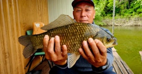 미성좌대 유료낚시터 > 덩어리 4짜와 잘생긴 4짜 붕어 송전지 미성좌대 : 낚시사랑