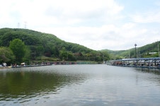 상덕낚시터 유료낚시터 > [상덕낚시터] 5월 3주차 이야기 - 용인 상덕 : 낚시사랑