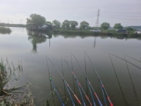 노진낚시터 유료낚시터 > ★★★★★노 진 낚 시 터 ㅡ토 종 잡 이 터 ㅡ 조 황 소 식 입 니 다.★★★★★ 붕어 지속적인방류 : 낚시사랑