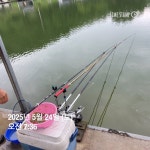 양평그린낚시터 유료낚시터 > 양평 그린낚시터 5/26 (월) 주말 조황 정보 및 방류 소식 : 낚시사랑