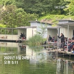 양평그린낚시터 유료낚시터 > 양평 그린낚시터 5/26 (월) 주말 조황 정보 및 방류 소식 : 낚시사랑