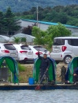 마전낚시공원 유료낚시터 > 기분좋은 조황 : 낚시사랑