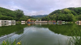 즐거운복상골 유료낚시터 > 여름맞이 준비~~~ : 낚시사랑