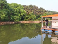 산들낚시터 유료낚시터 > 2025년 5월31일 산들낚시터 조황정보 : 낚시사랑