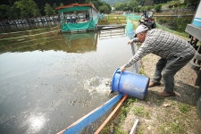 한터낚시터. 유료낚시터 > 한터 낚시터 2025년 05월31일 (토요일) 메기 향어 잉어 대량 방류했습니다 : 낚시사랑