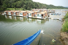 한터낚시터. 유료낚시터 > 한터 낚시터 2025년 05월31일 (토요일) 메기 향어 잉어 대량 방류했습니다 : 낚시사랑