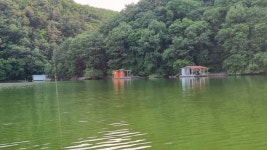 노은지 유료낚시터 > 노은지 낚시터 소식입니다. : 낚시사랑