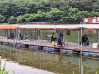 산들낚시터 유료낚시터 > 2025년 6월 6일 산들낚시터 조황 및 방류정보 : 낚시사랑