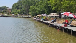 고잔낚시터 유료낚시터 > 목금 저수지 조황 사진입니다 : 낚시사랑