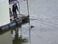 삼성지낚시터 유료낚시터 > 삼성지 배수중 조황 : 낚시사랑