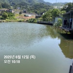양평그린낚시터 유료낚시터 > 양평 그린낚시터 6/12 (목) 조황 정보 및 방류 소식 : 낚시사랑