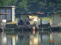 오빈낚시터 유료낚시터 > ~~~ 조황정보 및 방류소식 전합니다~~~ : 낚시사랑