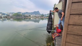 안성 거청낚시터 유료낚시터 > 6월 13일 거청낚시터 조황 : 낚시사랑
