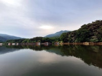 산들낚시터 유료낚시터 > 2025년 6월 13일 산들낚시터 방류 및 조황정보 : 낚시사랑