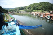 한터낚시터. 유료낚시터 > 한터 낚시터 2025년 06월14일 (통요일) 토종붕어 향어 메기 대량 방류했습니다 : : 낚시사랑