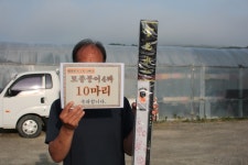 내동지 유료낚시터 > *** 토종붕어 4짜 조황 *** : 낚시사랑