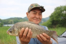 내동지 유료낚시터 > *** 토종붕어 4짜 조황 *** : 낚시사랑