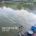 양평그린낚시터 유료낚시터 > 양평 그린낚시터 6/15 (일) 주말조황 정보 및 방류 소식 : 낚시사랑