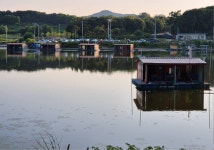 성호낚시터 유료낚시터 > 6월16일 조황 성호낚시터 이천. : 낚시사랑