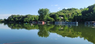 양평수곡낚시터 유료낚시터 > 꾸준한 조황속 양평 수곡낚시터 둘째주말 조황 및 붕어방류 : 낚시사랑