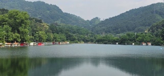 양평수곡낚시터 유료낚시터 > 꾸준한 조황속 양평 수곡낚시터 둘째주말 조황 및 붕어방류 : 낚시사랑