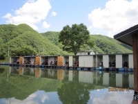 대석낚시터 유료낚시터 > 꾸준히 이어지는 대박 조황 입니다.. : 낚시사랑