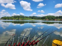 성호낚시터 유료낚시터 > 조황정보 성호낚시터. : 낚시사랑