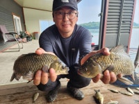 유료터정보 > 유료터점주조황 > 조황정보 성호낚시터.