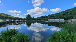 즐거운복상골 유료낚시터 > 장마 시작~~~ : 낚시사랑