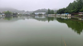 안성 거청낚시터 유료낚시터 > 6월 22일 거청낚시터 조황 : 낚시사랑