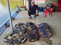 요덕골 유료낚시터 > 주말조황입니다, : 낚시사랑