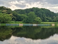 회암지 유료낚시터 > 안성회암낚시터 조황정보^^ : 낚시사랑